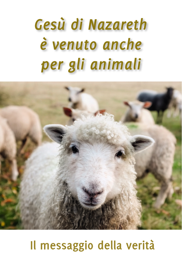 Gesù di Nazareth è venuto anche per gli animali